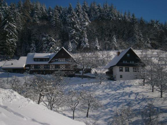 Ferienhof Fischer Seebach Exterior photo