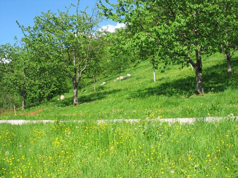 Ferienhof Fischer Seebach Exterior photo