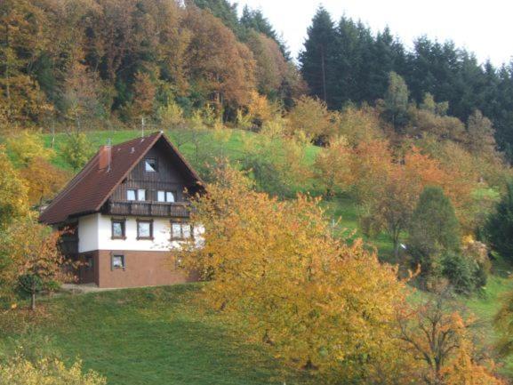 Ferienhof Fischer Seebach Exterior photo