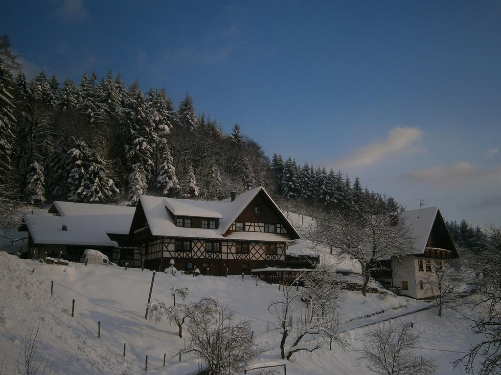 Ferienhof Fischer Seebach Exterior photo